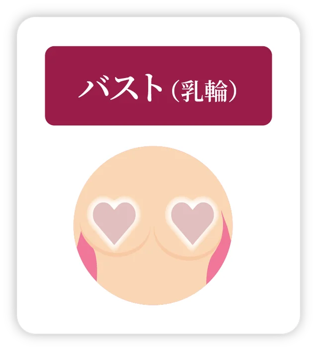 バスト（乳輪）