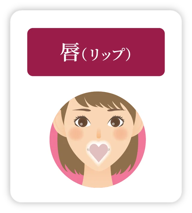 唇（リップ）